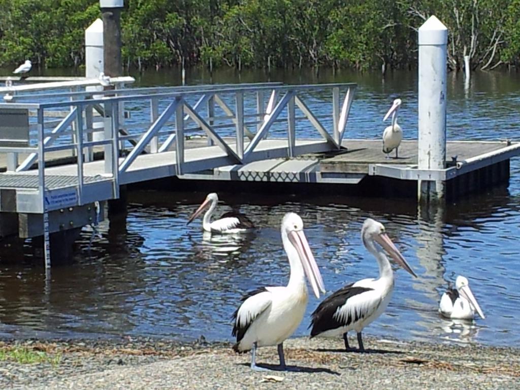 Harrington Village Motel Manning Point Buitenkant foto